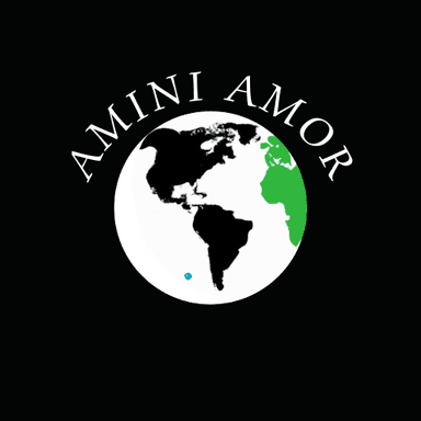 Amini Amor globe logo supplied by the founder
